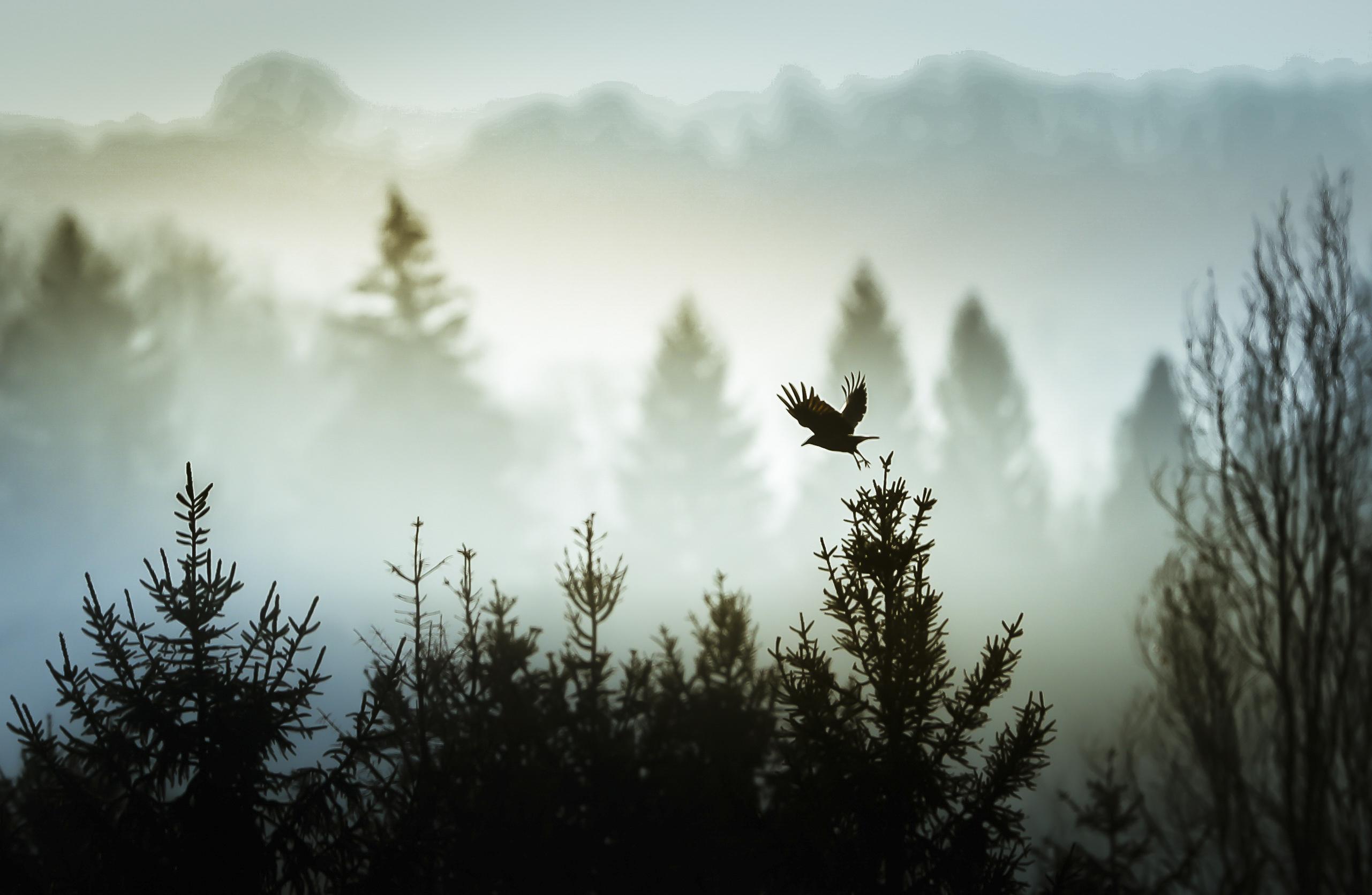 Őrségi látnivalók bakancslistája