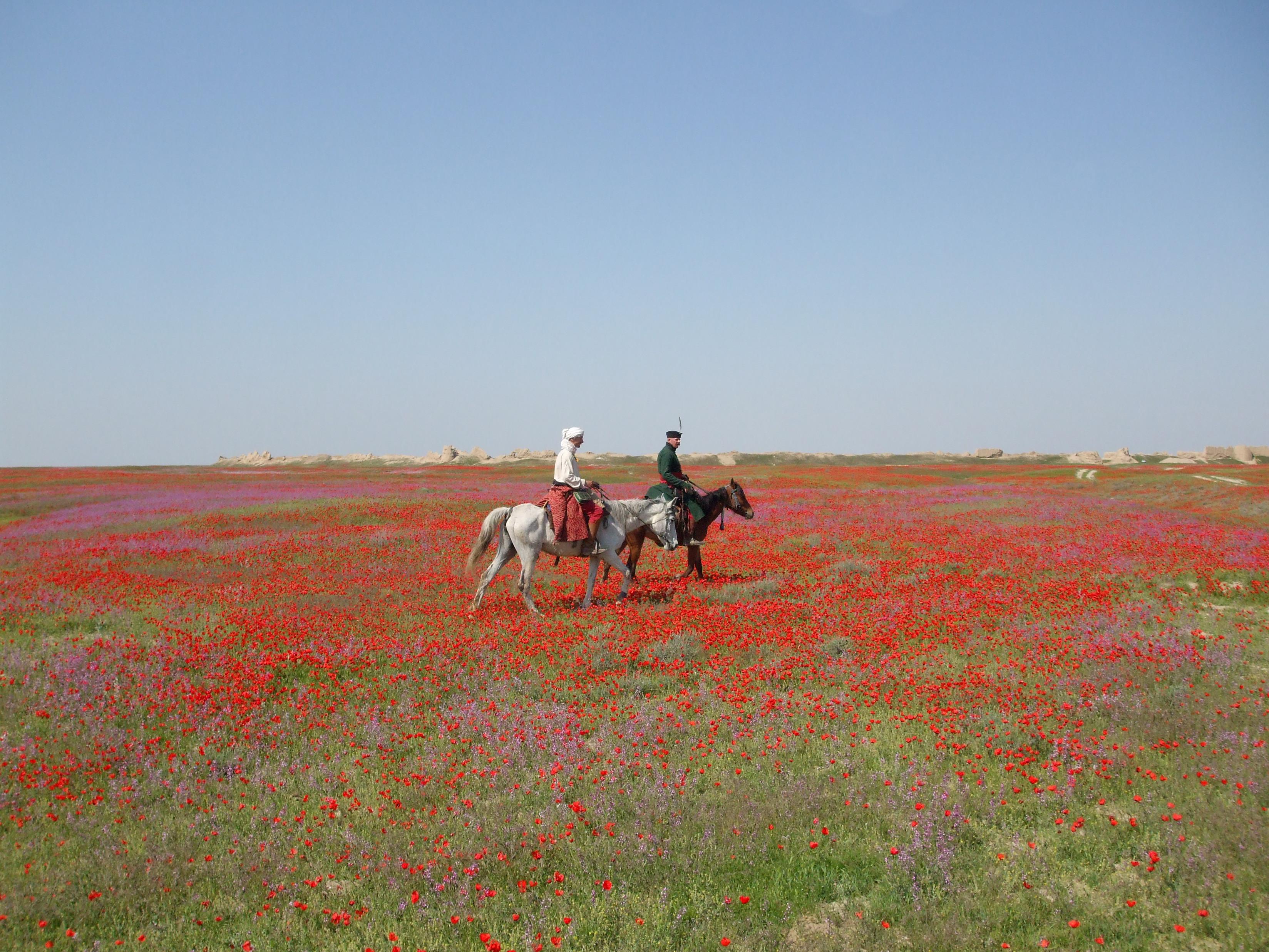 Egy élet és 60 000 km a nyeregben