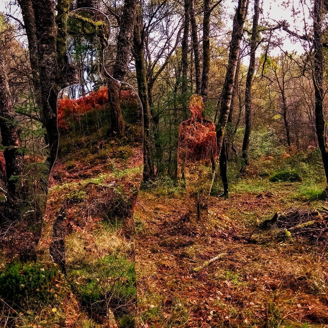 Művészi illúzió Skócia erdejében