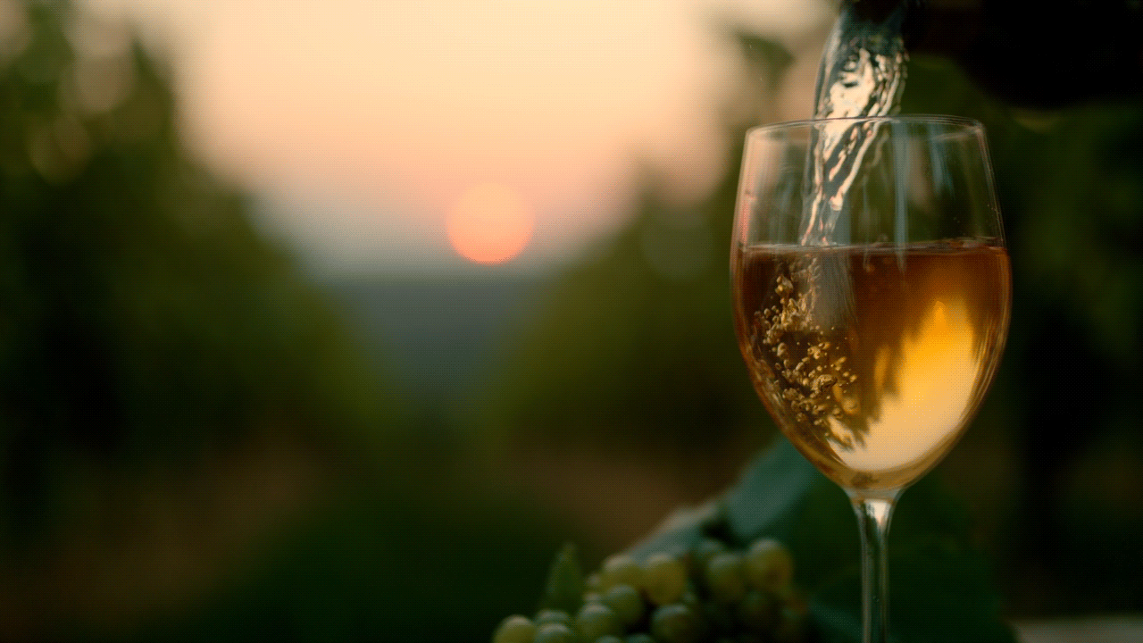 Őszi barangolások borvidékeinken I.: Tokaj