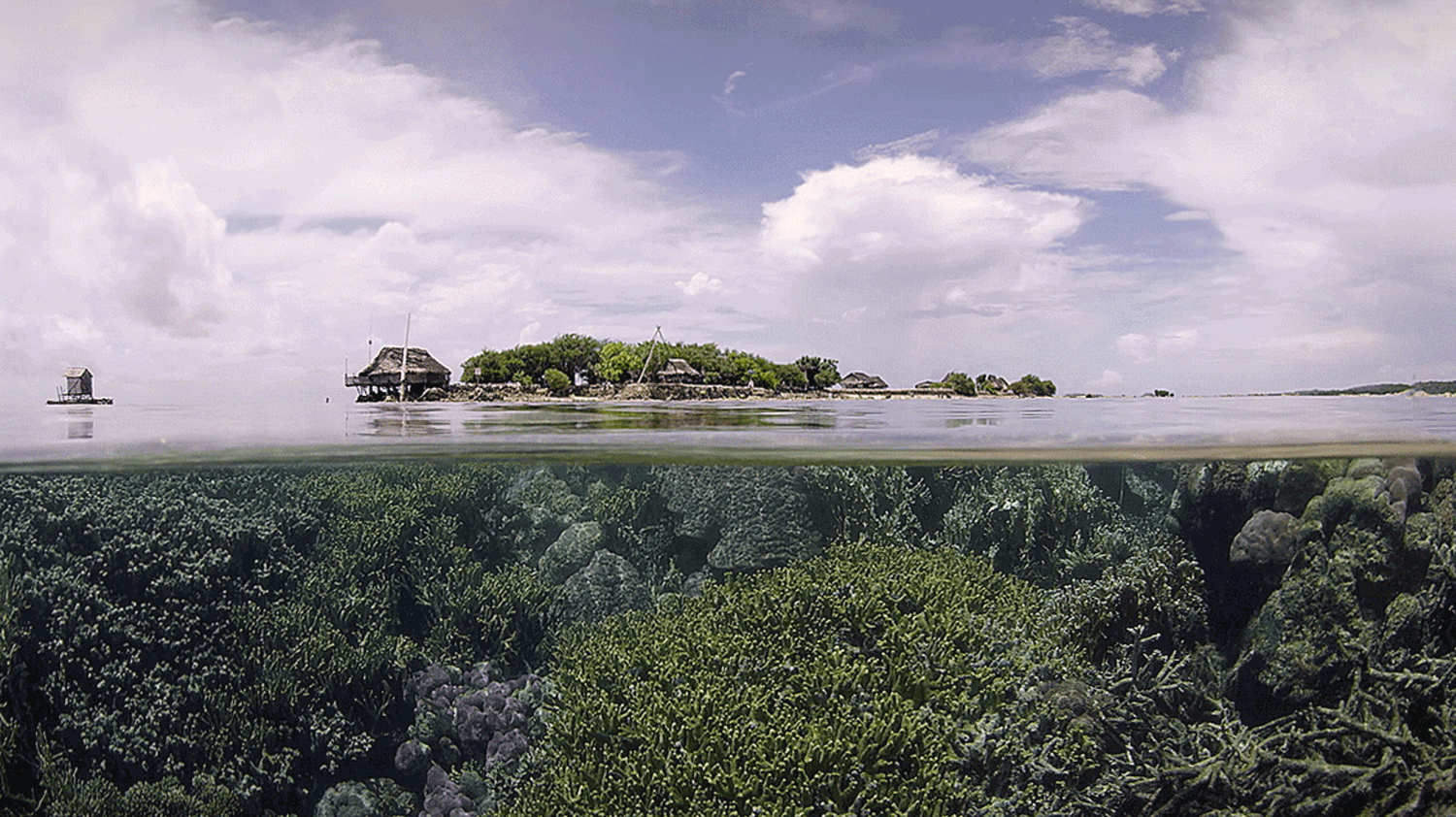 Gyógyuló bolygó – 10 dolog, amit a járványból profitáltunk