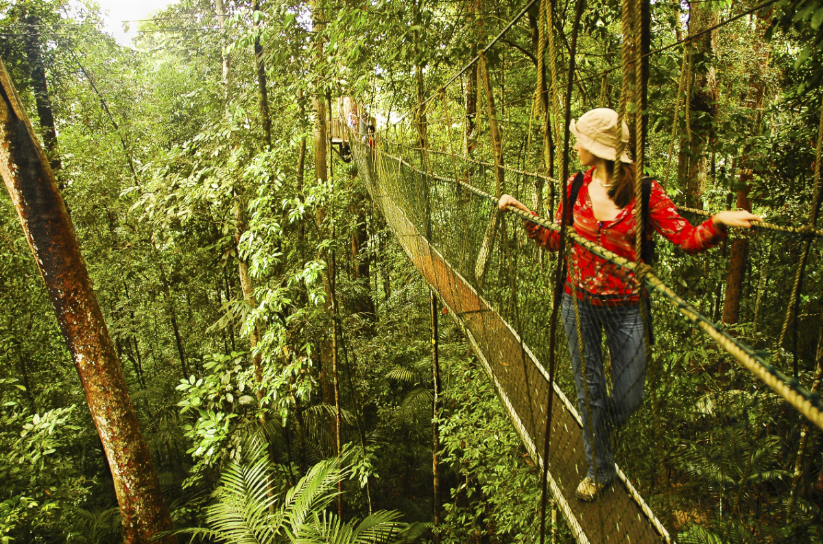Kipróbálnád? 530 méter hosszú függőhíd a dzsungel mélyén