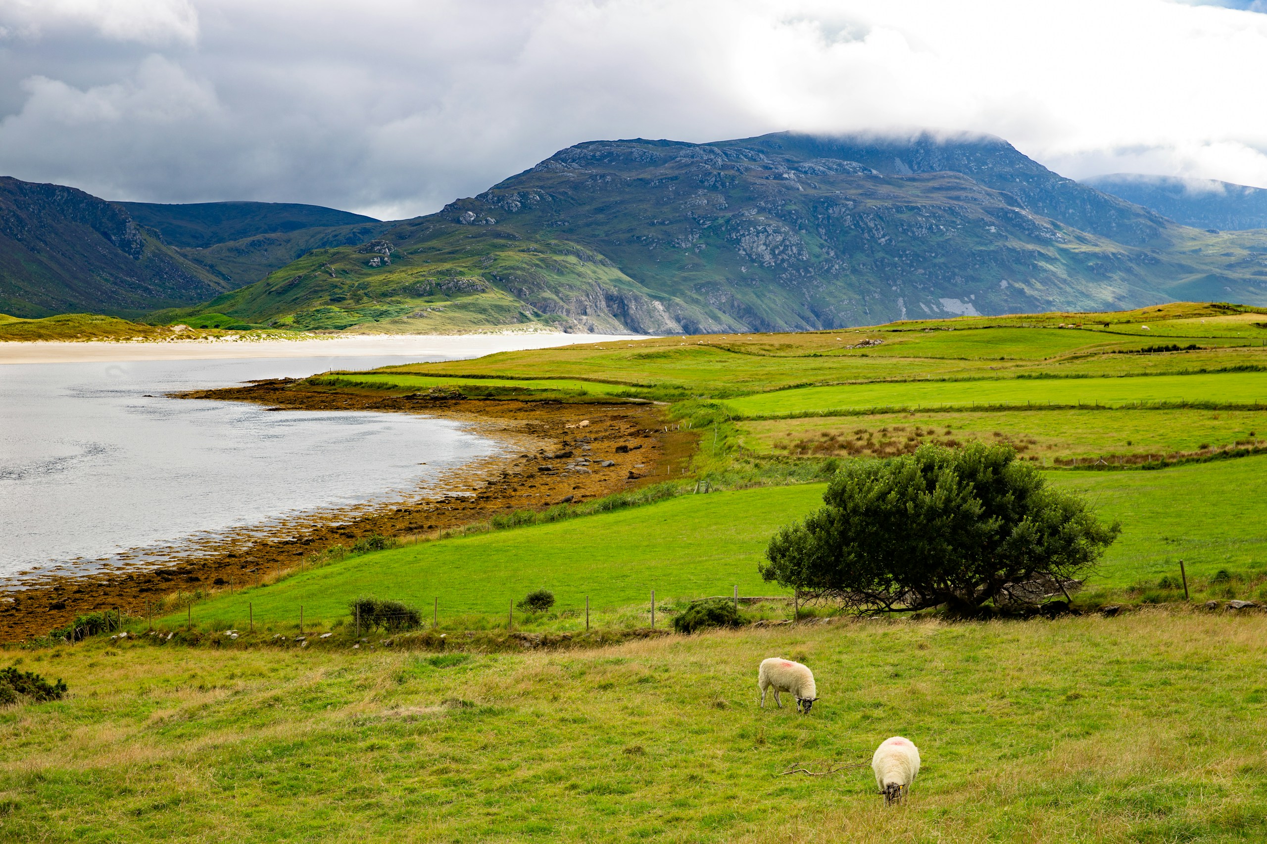 Írország egyik legfurcsább látnivalójáról alig hallott valaki