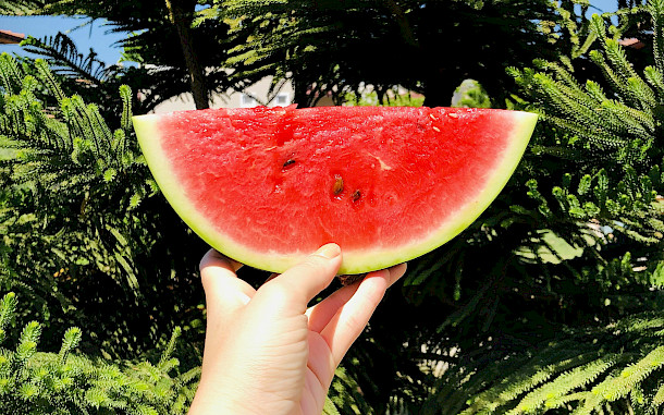 Serenay G&uuml;lşen, Unsplash.