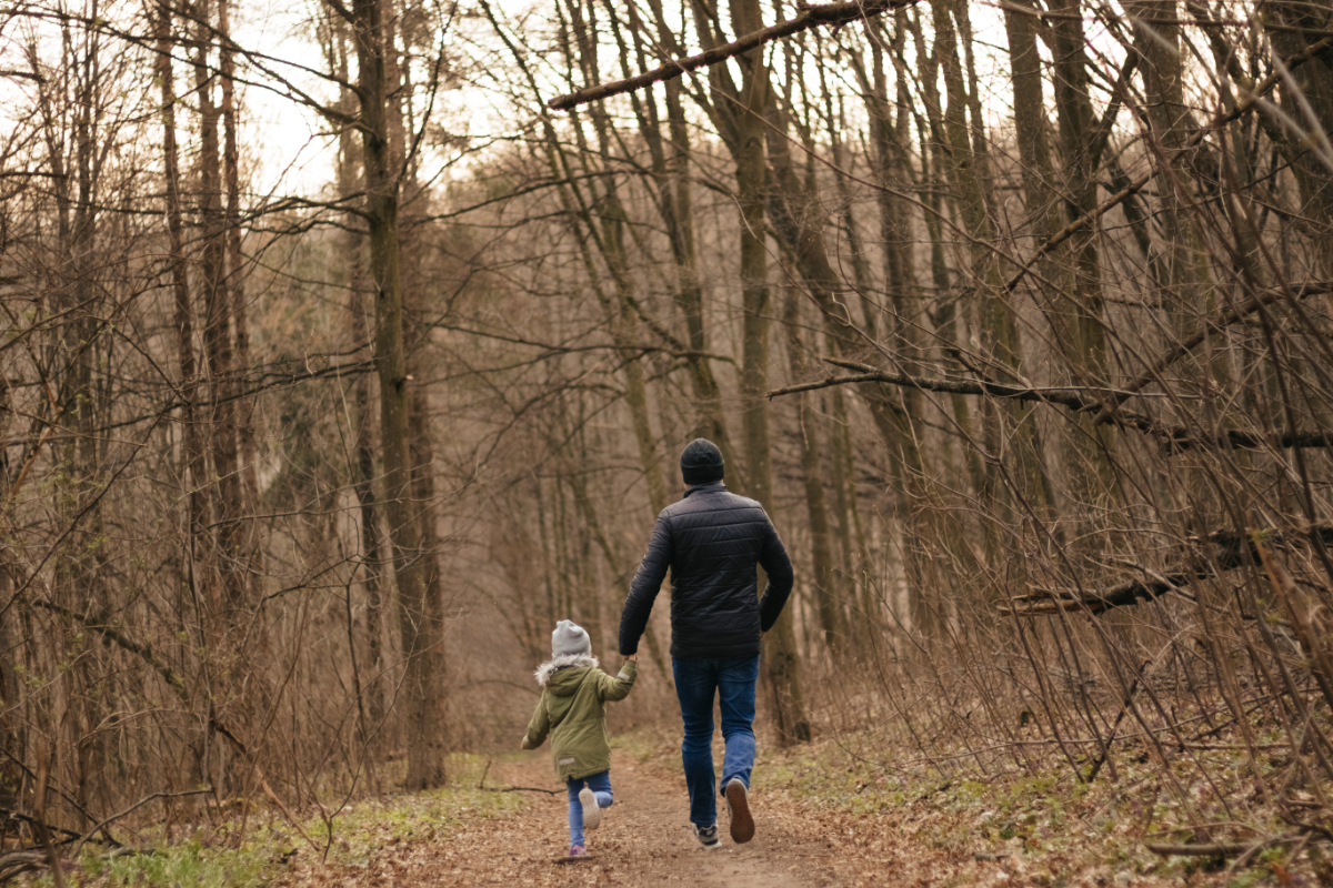6 kellemes túraútvonal Budapest közelében, ha lemozognád a karácsonyi falatozást