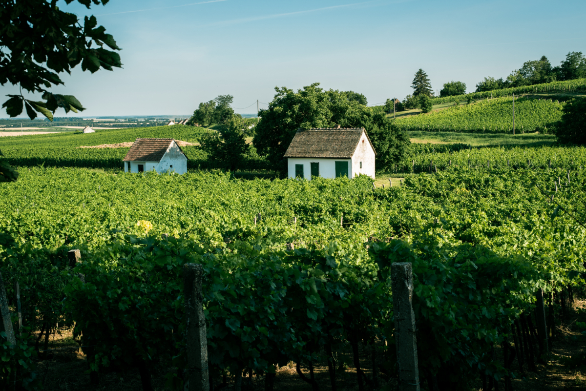 5 csöndes falu a Kéktúra mentén, ahol nyugodt környezetben pihenheted ki a kirándulást