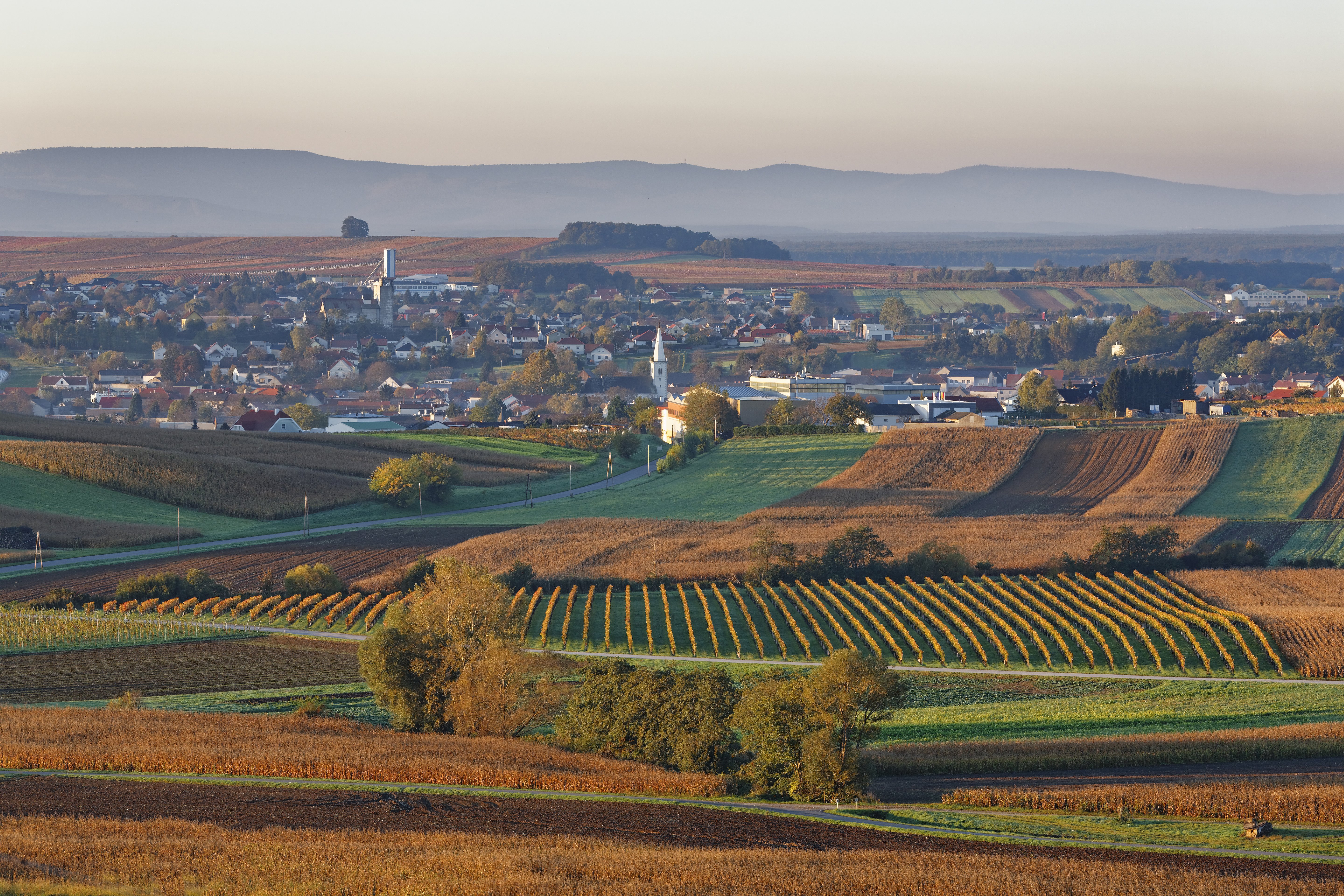 4 szomszédos borvidék, amit lehet, nem is ismertél