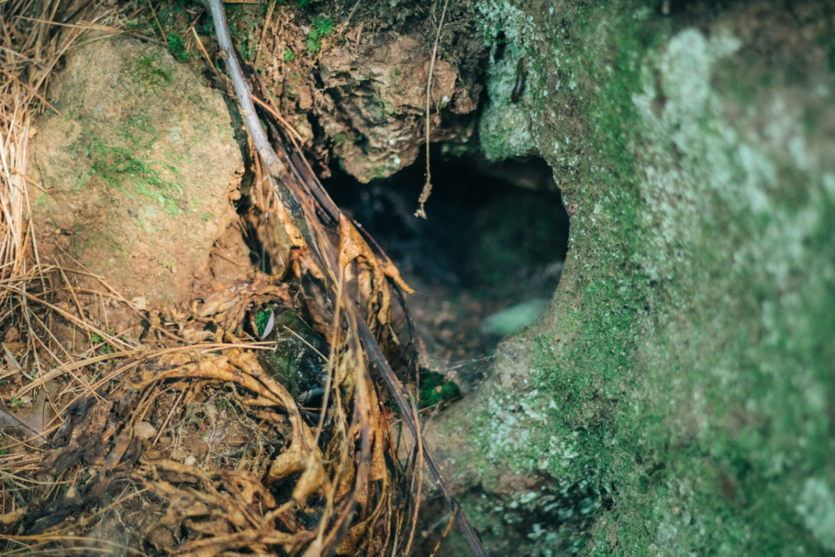 Csak óvatosan: életveszélyes gödröket találtak a népszerű kirándulóhelyen