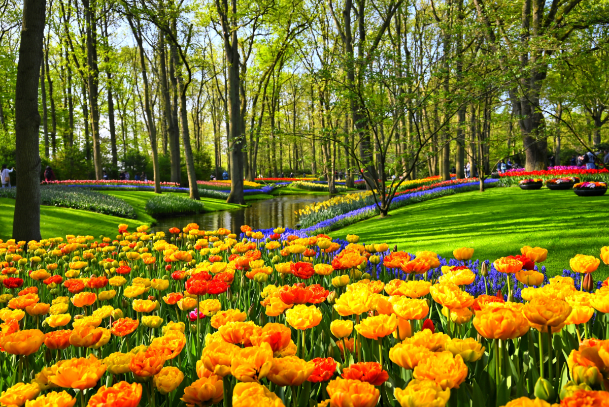 Ne hagyd ki! Ez most a 10 legfelkapottabb tavaszi úti cél