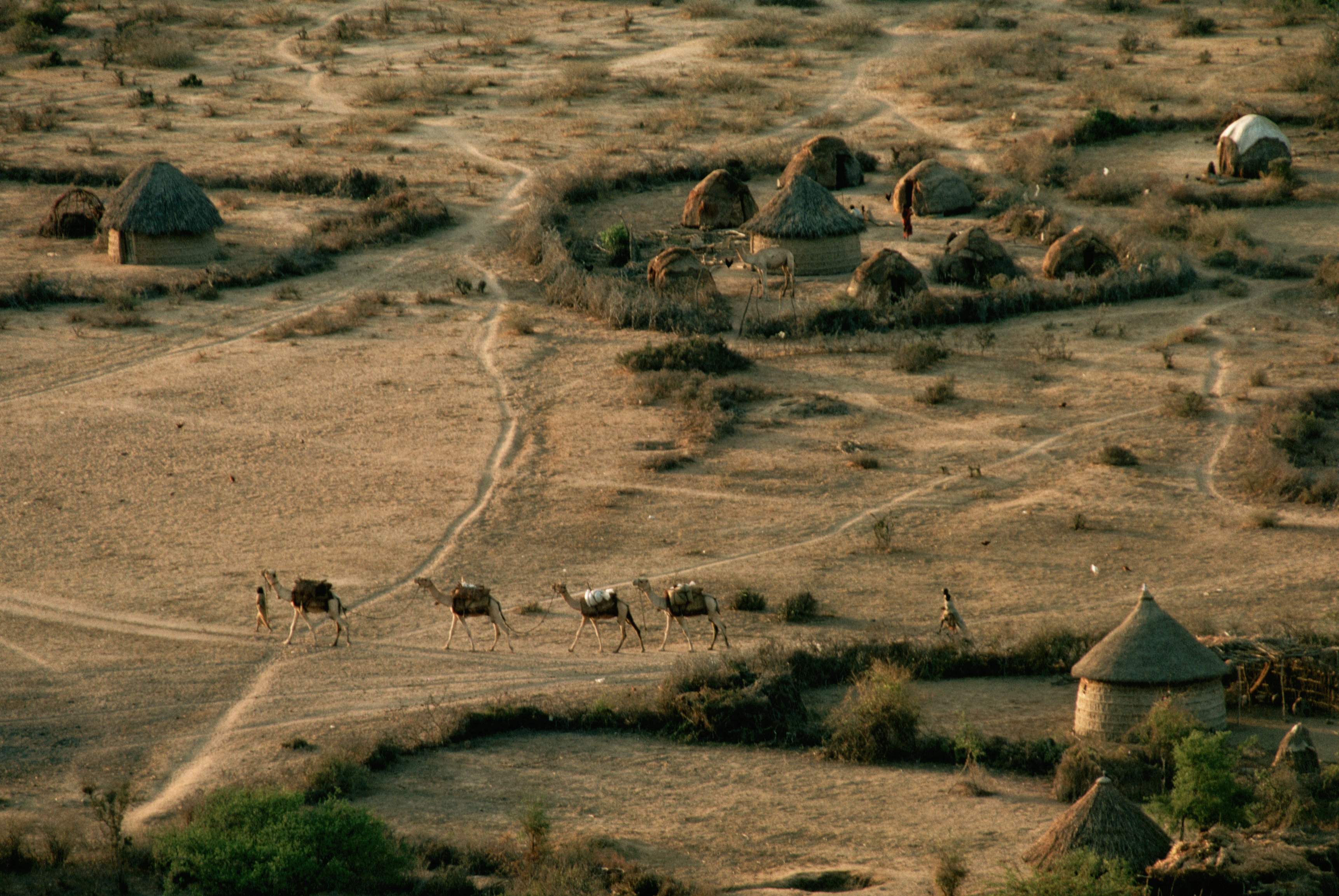 Interaktív térképen a világ legveszélyesebb országai