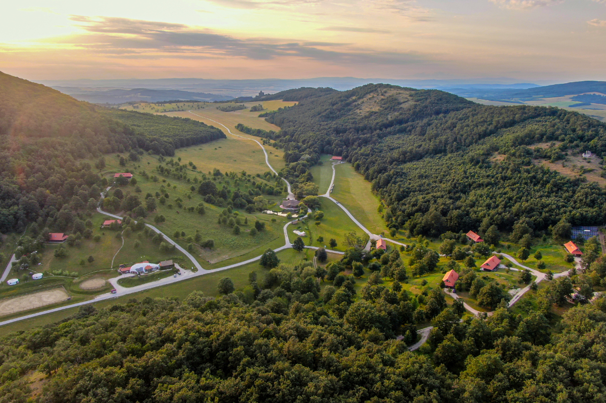 Természetes elegancia – Farkaskútvölgy, ahol a nyugalom és luxus találkozik