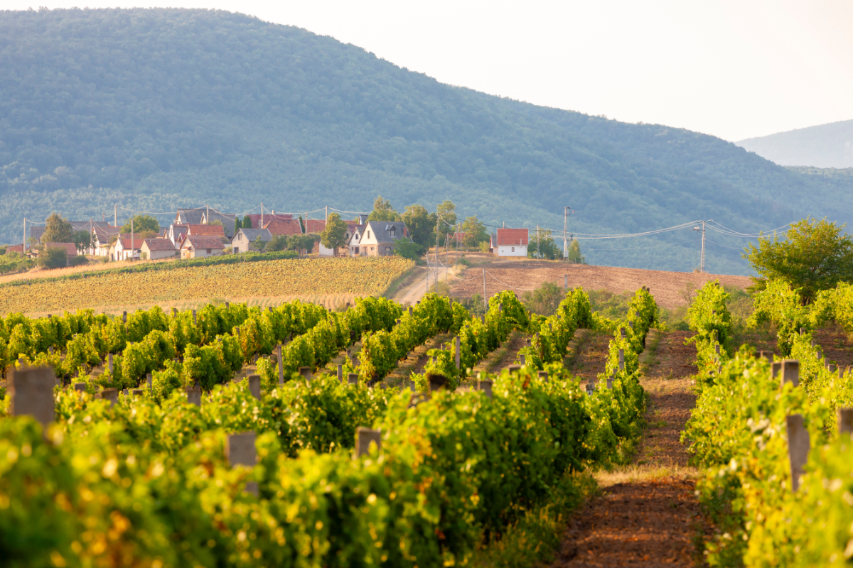 5 eldugott falu Magyarországon, amely tavasszal mutatja legszebb arcát