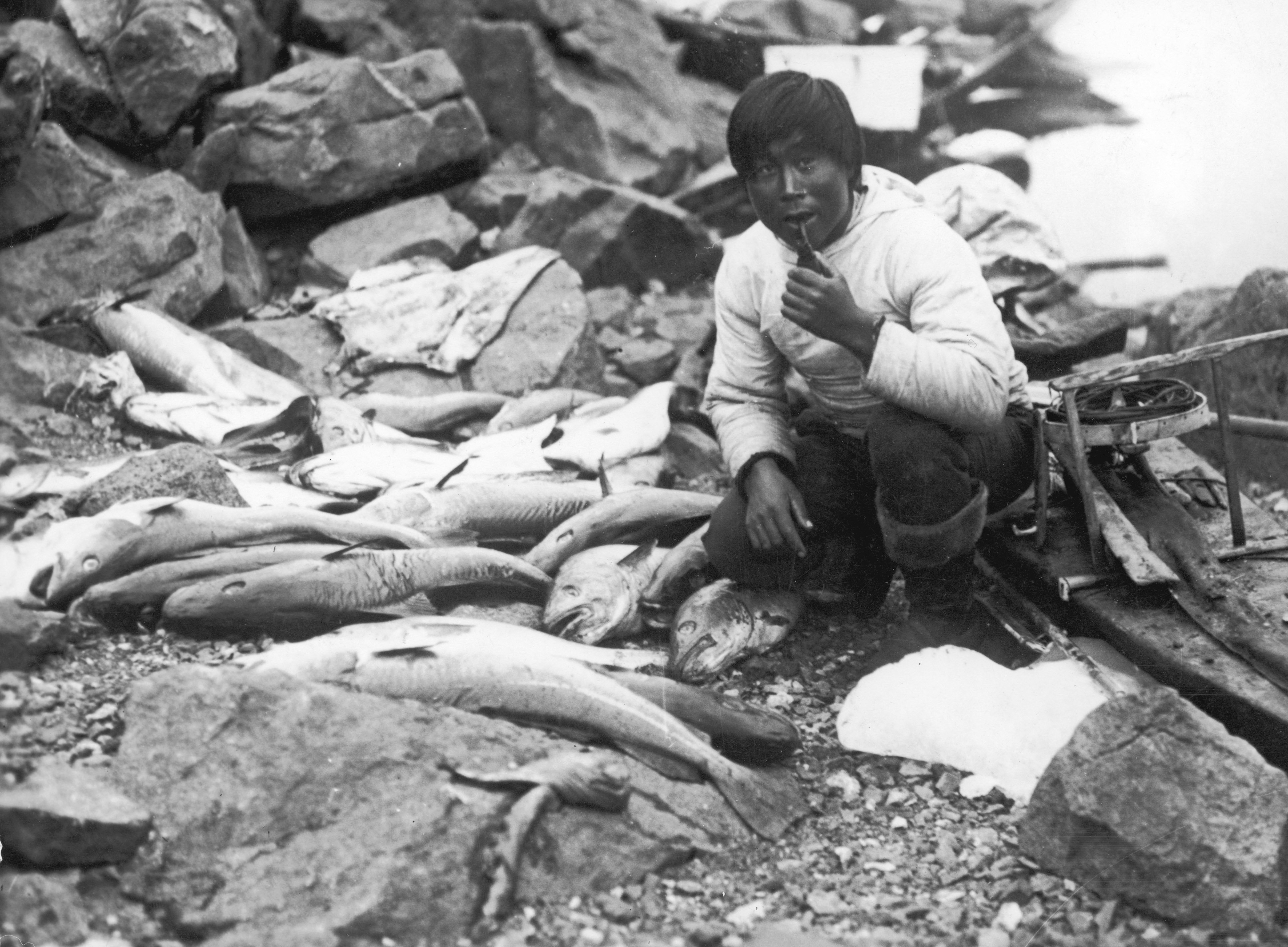 Tradicionális inuit fogások a jég birodalmából