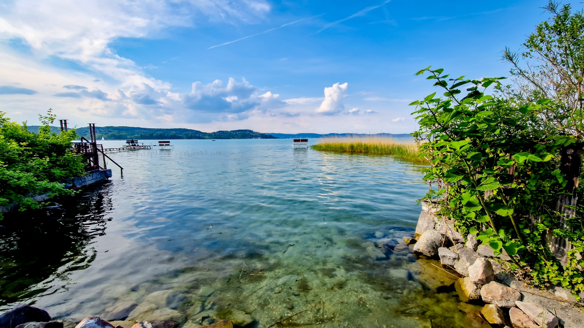Zöldül a Balaton, aggasztó sebességgel terjednek az algák a tó vízében
