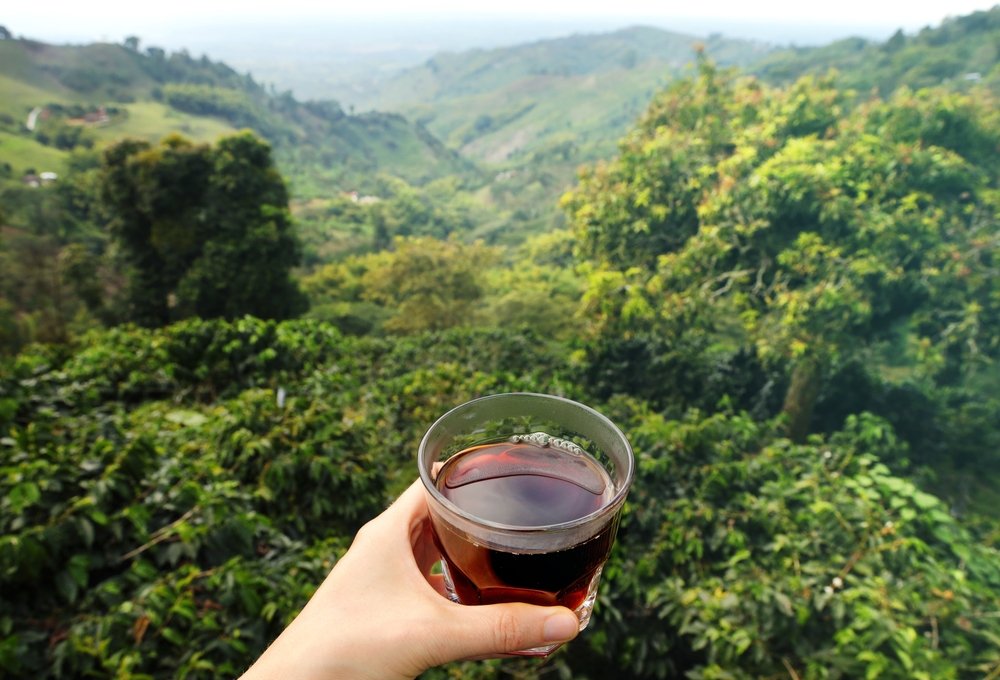 Olyan kávét találtak fel a tudósok, ami átformálhatja az egész piacot