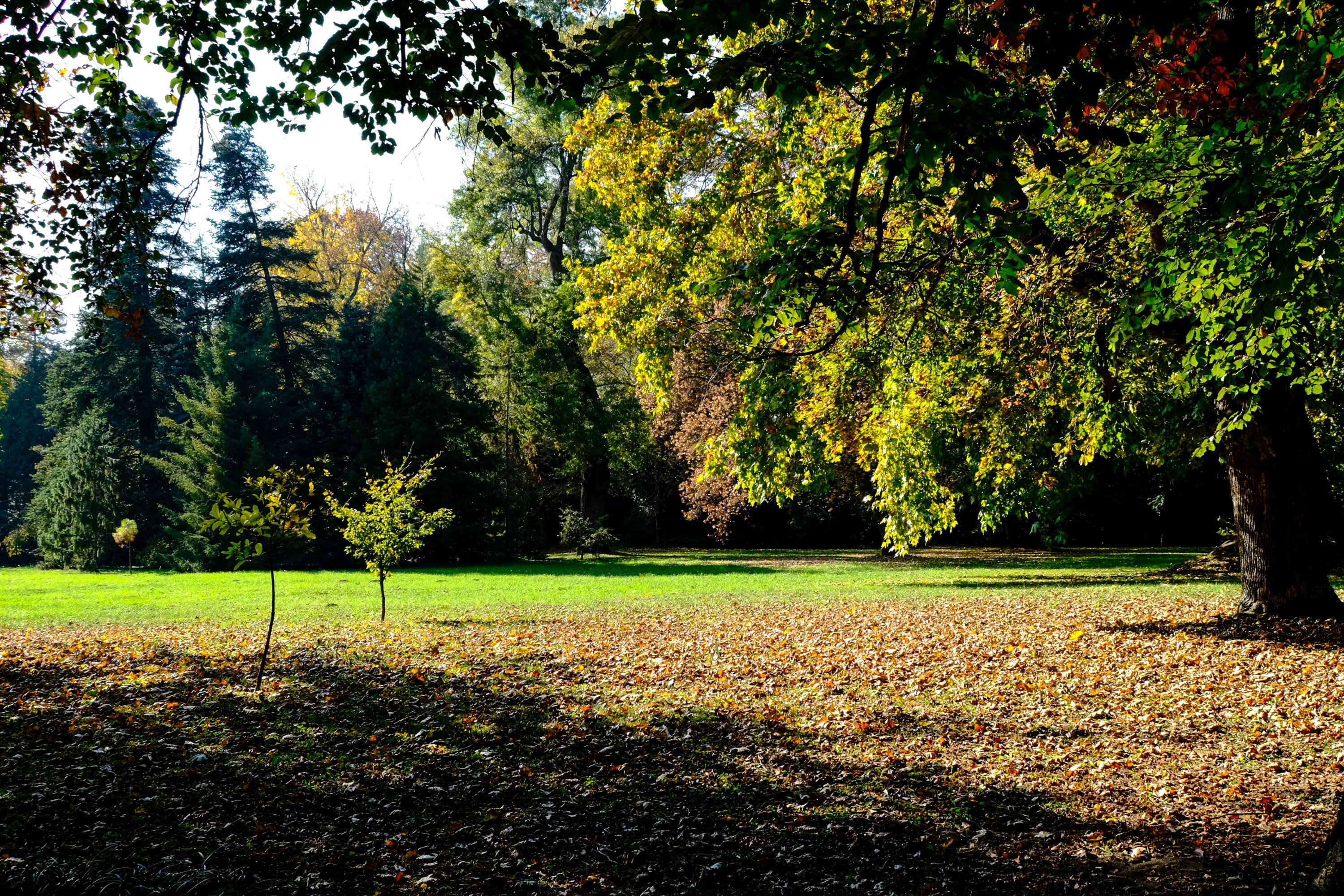 5 magyar arborétum az őszre, ha egy kis nyugalomra vágyunk