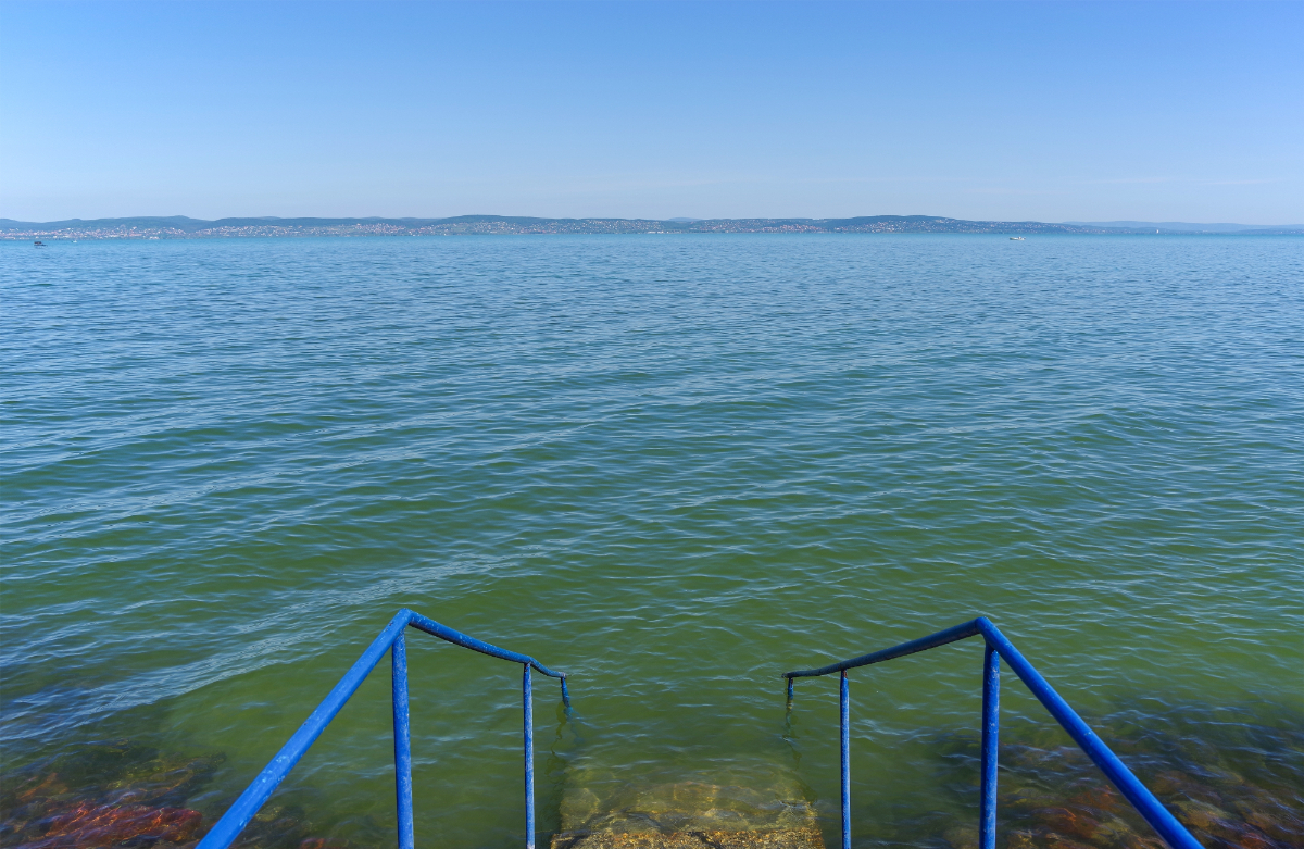 Medúzák a Balatonban? A kutatók mást mondanak