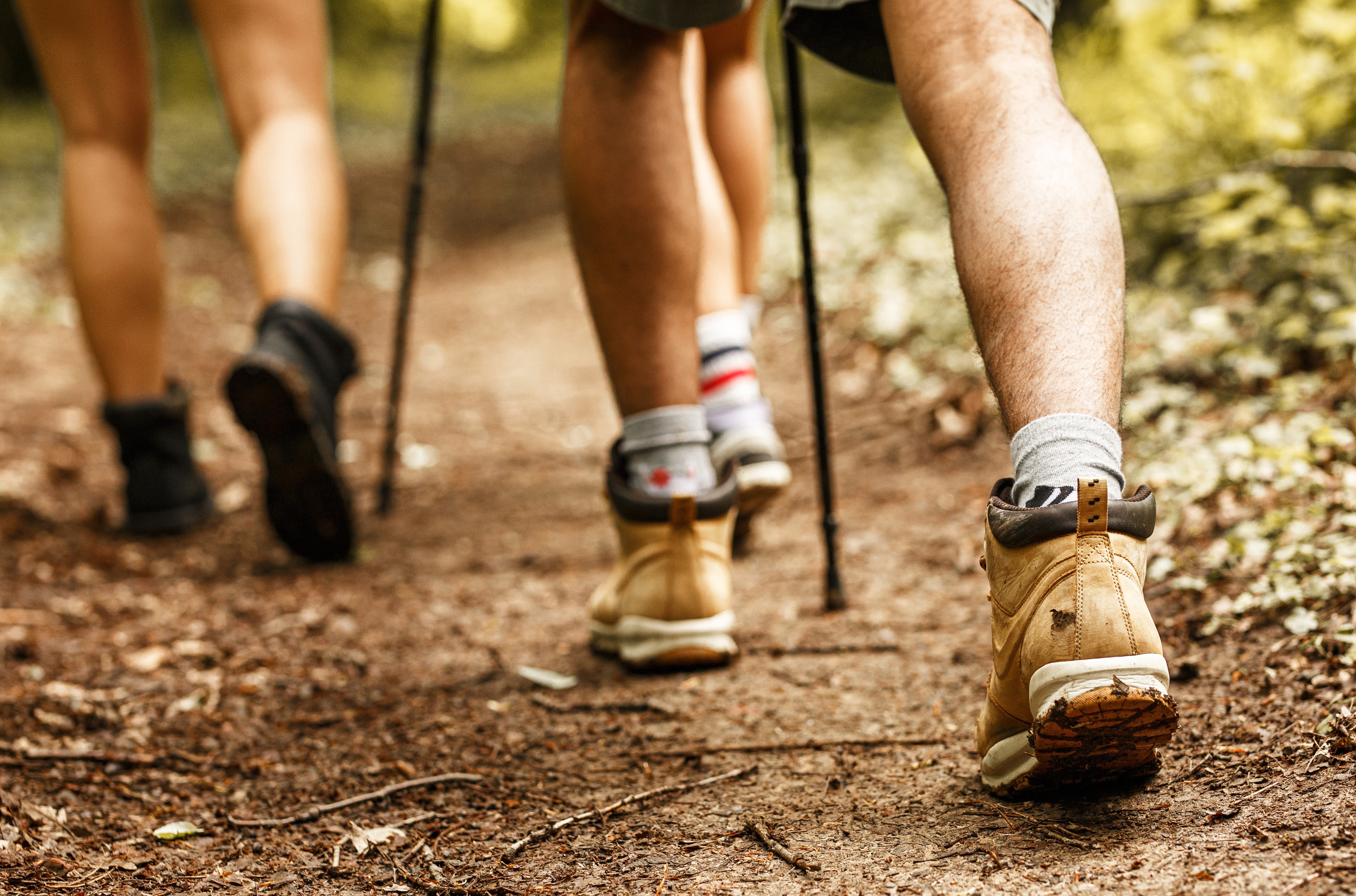 Használd ki a jó időt: irány a Budai-hegység legszebb panorámája!