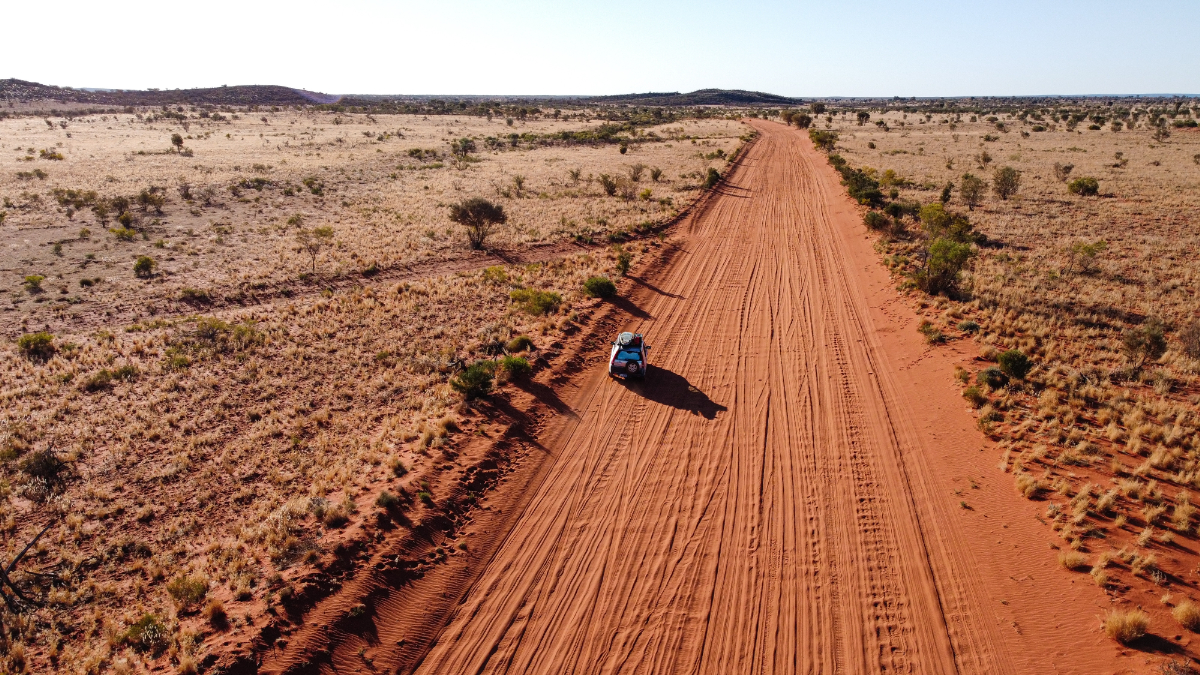 Ez az állat végzett a legtöbb emberrel Ausztráliában – és nem az, amire gondolnál