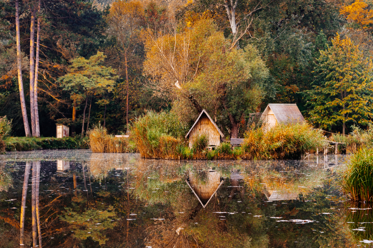 4+1 falu Budapest közelében, ahol igazi élmény az ősz