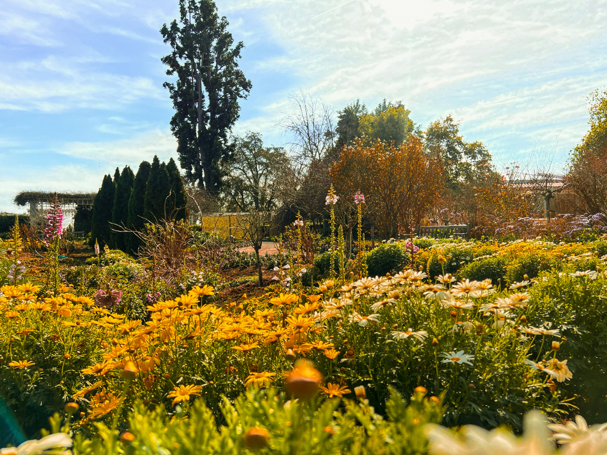 5 mesebeli magyar arborétum, ami tökéletes egy őszi hétvégére