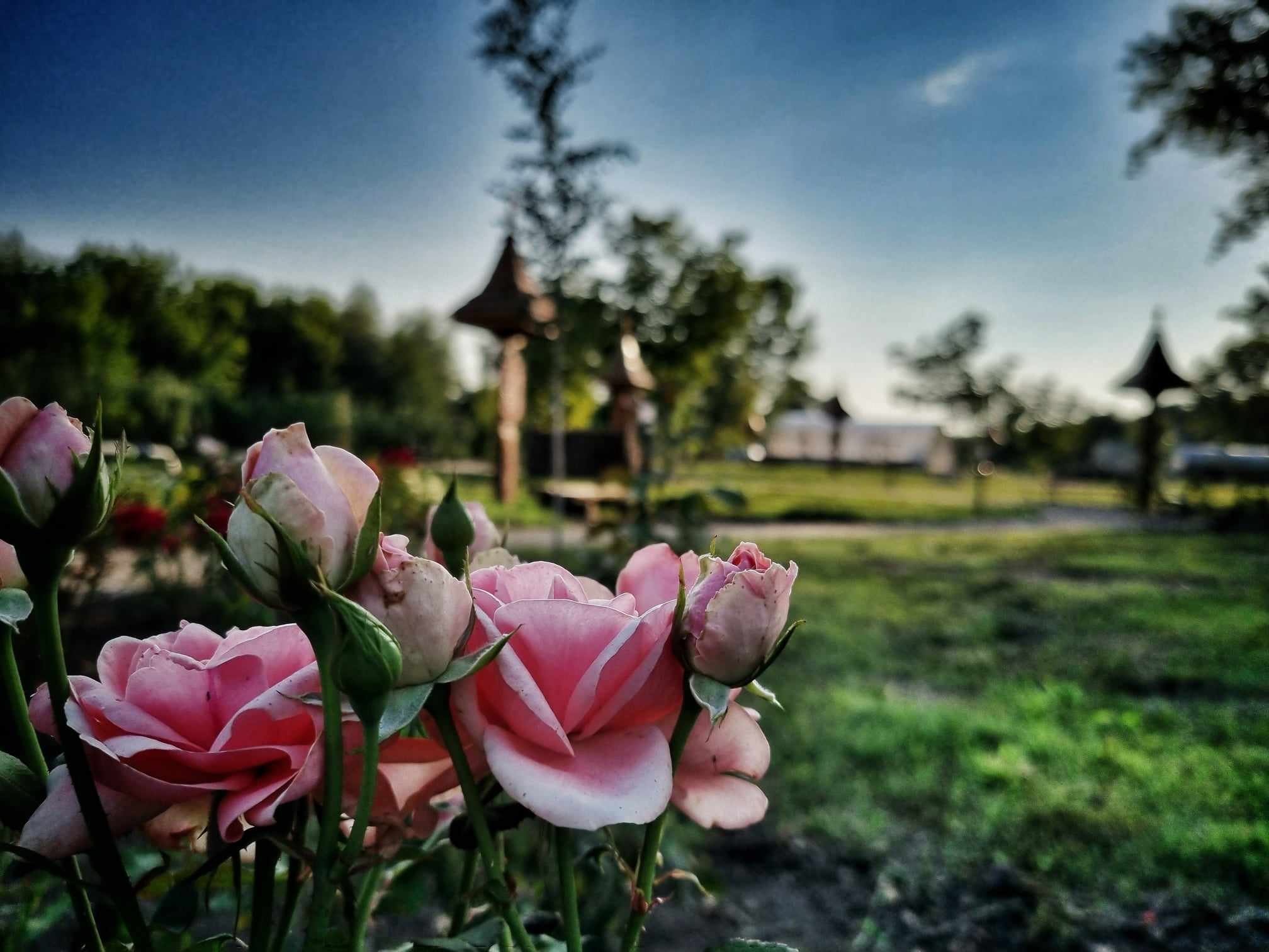 Új, romantikus hely egy sétához: átadták a Szerelem-tanösvényt