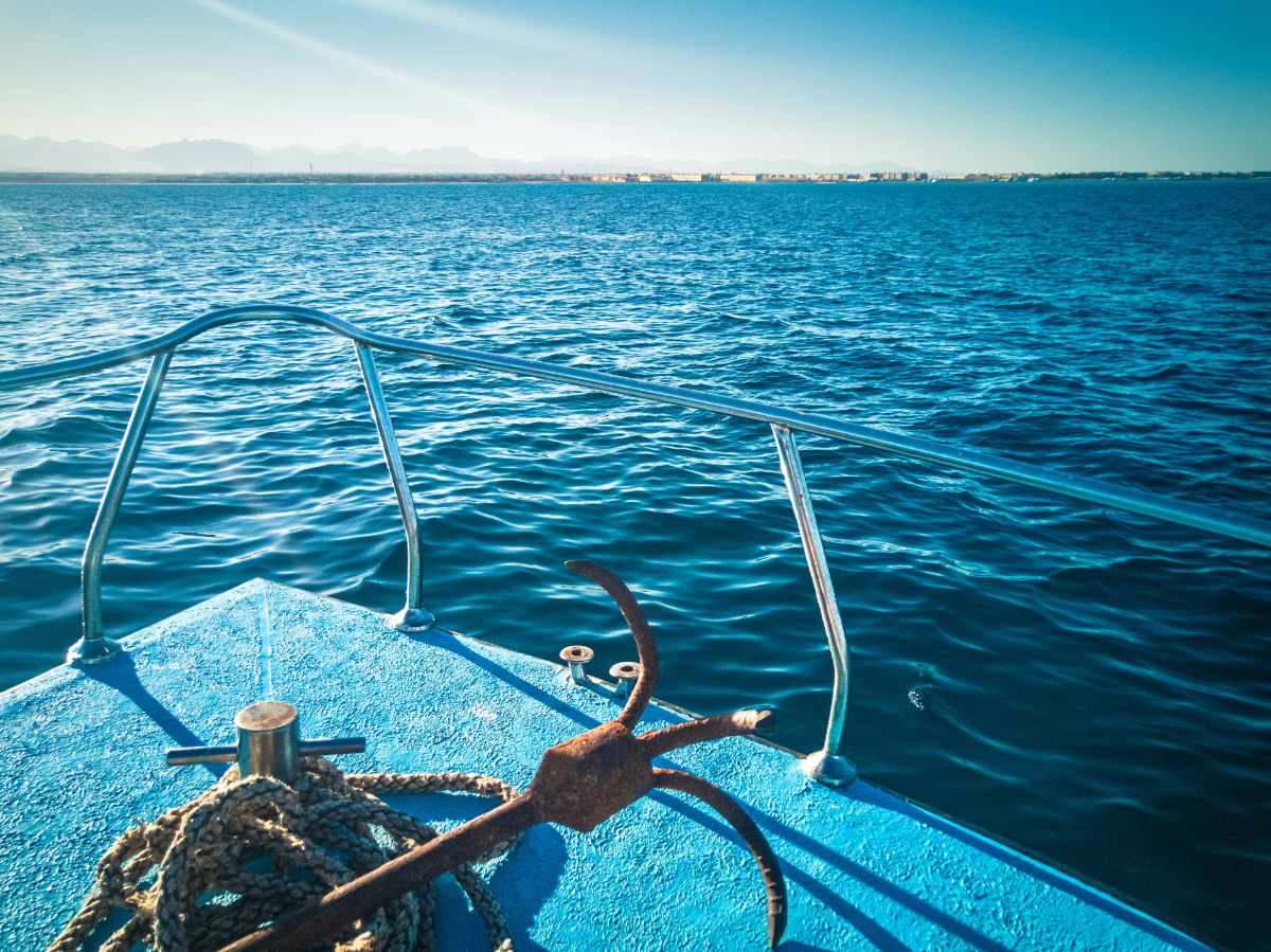 Hemzsegnek a cápák a magyarok kedvelt téli üdülőhelyén, több szálloda strandját is lezárták