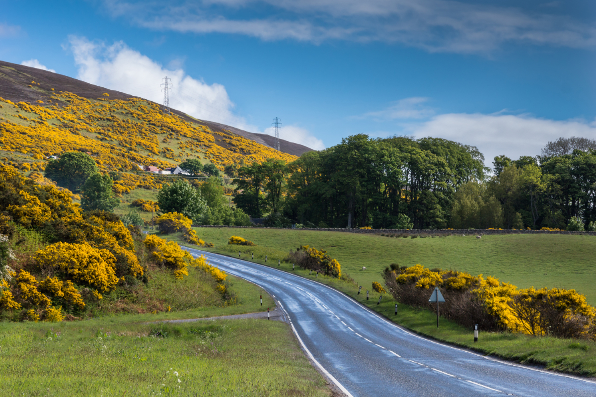 Annyi balesetet okoznak a külföldiek, hogy Skóciában bevezetnék a T-matricát