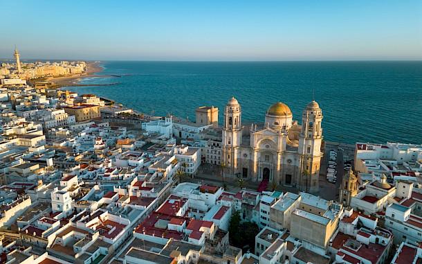 AlexeMarcel / Shutterstock