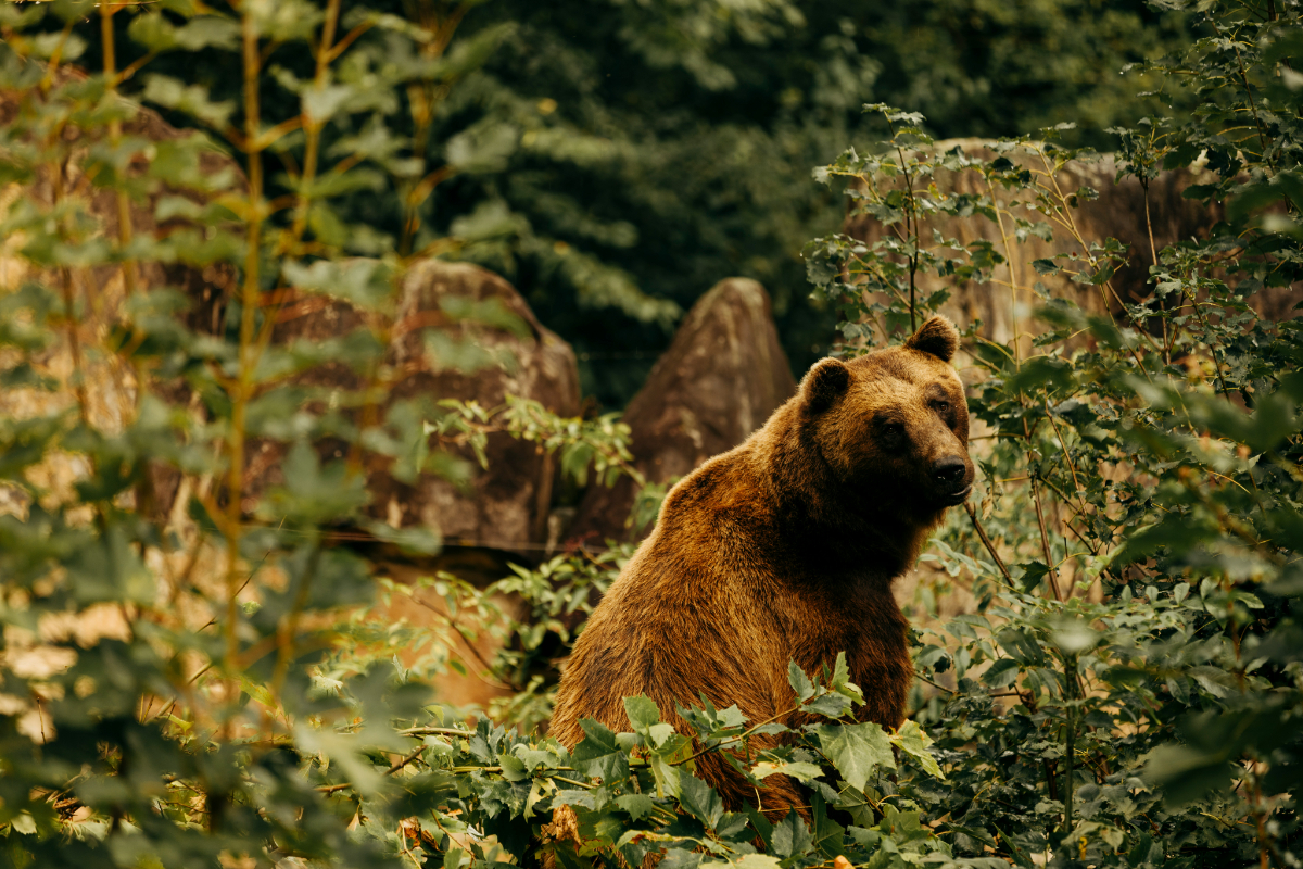 Félsz a repüléstől? Ez a videó megmutatja, miért nincs rá okod
