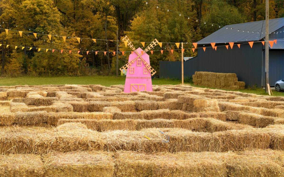 Már látogatható: óriási szalmalabirintus épült a Balaton mellett