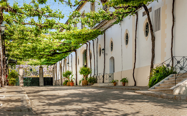 trabantos, Shutterstock