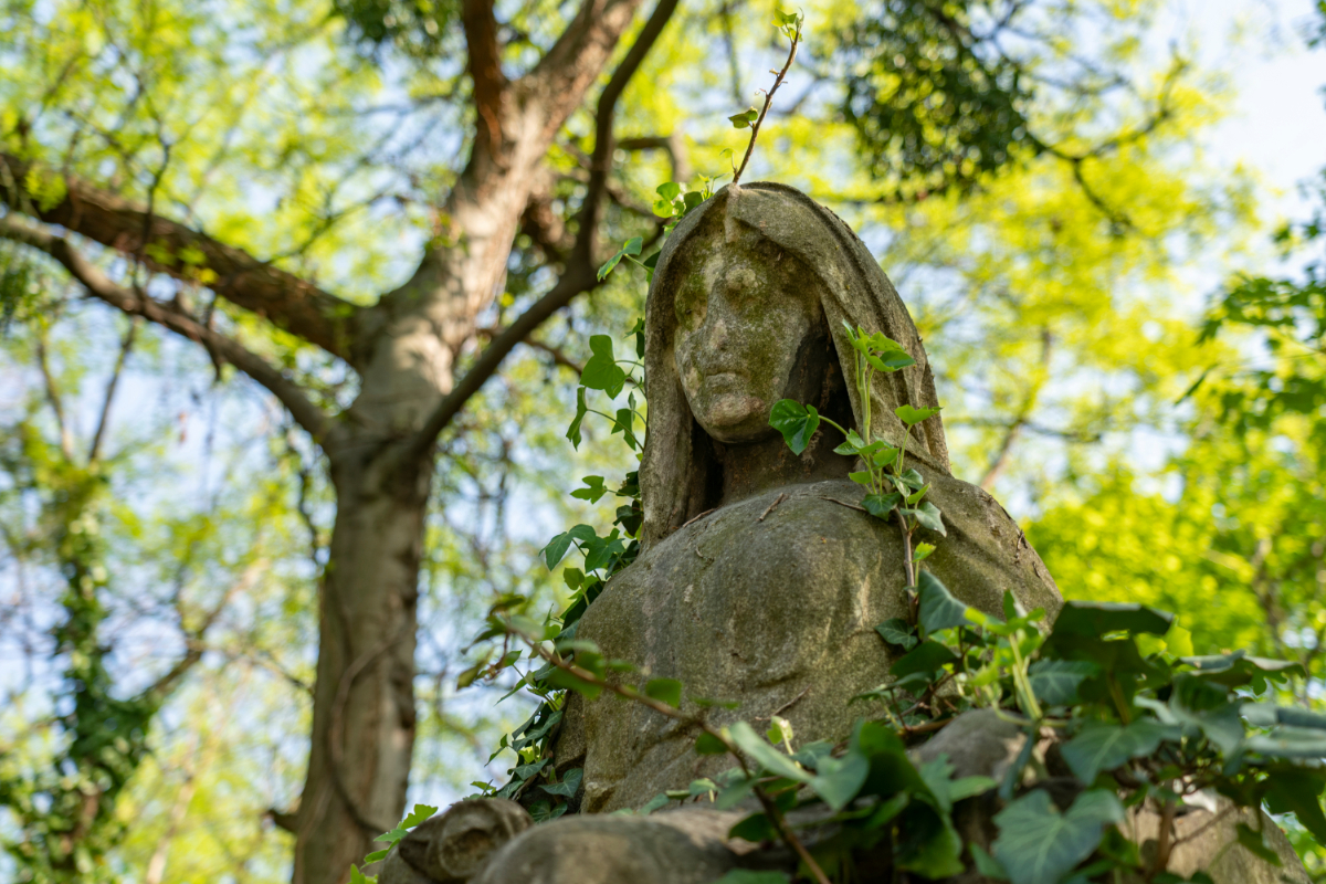 6 különleges magyar temető és emlékhely, ahova érdemes kilátogatni