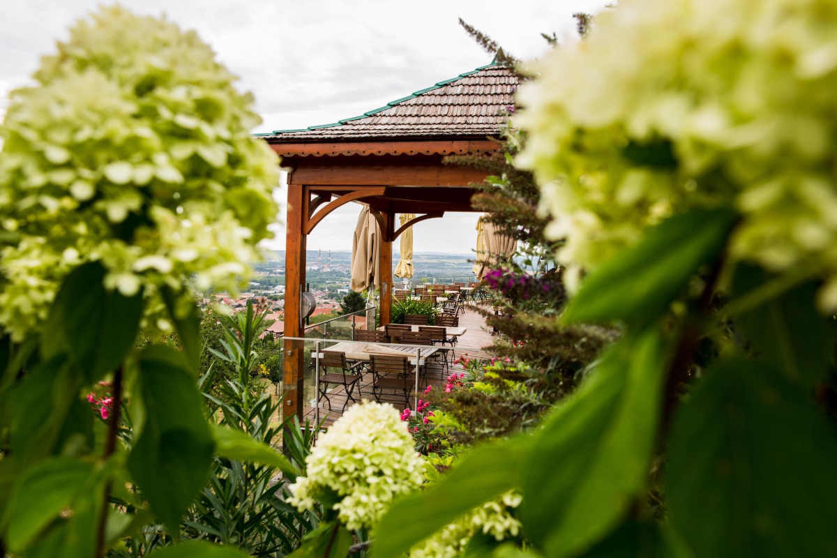 5 kihagyhatatlan étterem Pécsen, ahol a vacsora maga az élmény