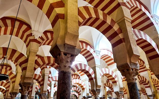 bela art/Shutterstock