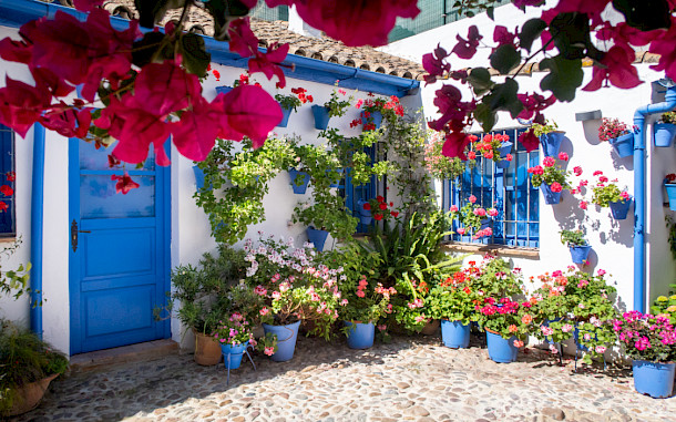 Marina Kryuchina/Shutterstock