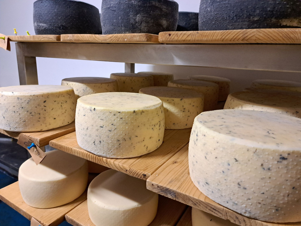 A Bükkben megbúvó mesebeli falu, ahol a világ egyik legjobb sajtját készítik