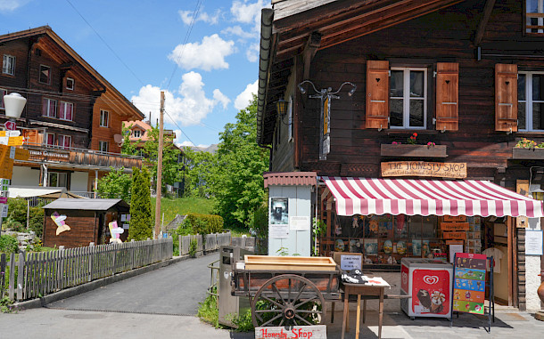 DreamFrame529/Shutterstock