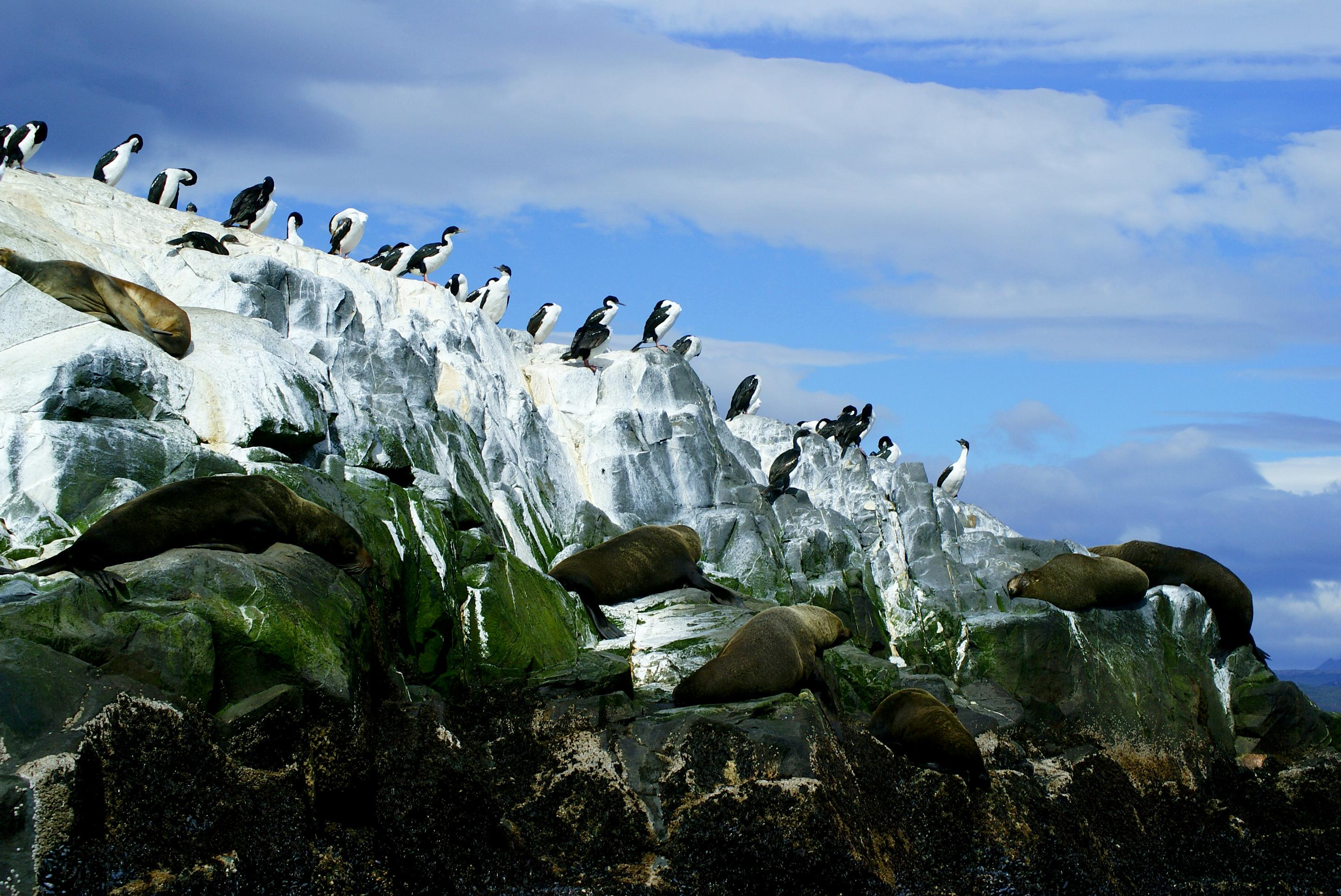 Délnél is délebben: Patagónia varázslatos tájai
