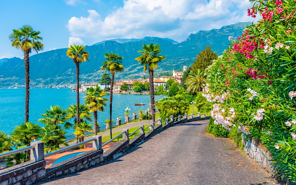 trabantos/Shutterstock