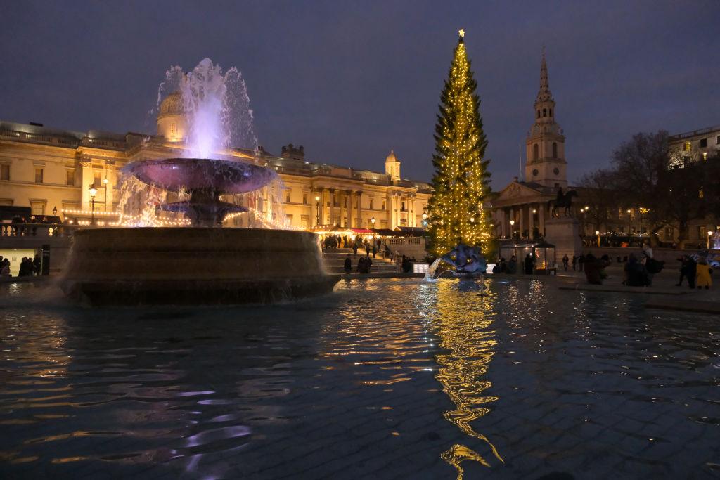 A világ 6 legszebb karácsonyfája 2022-ben