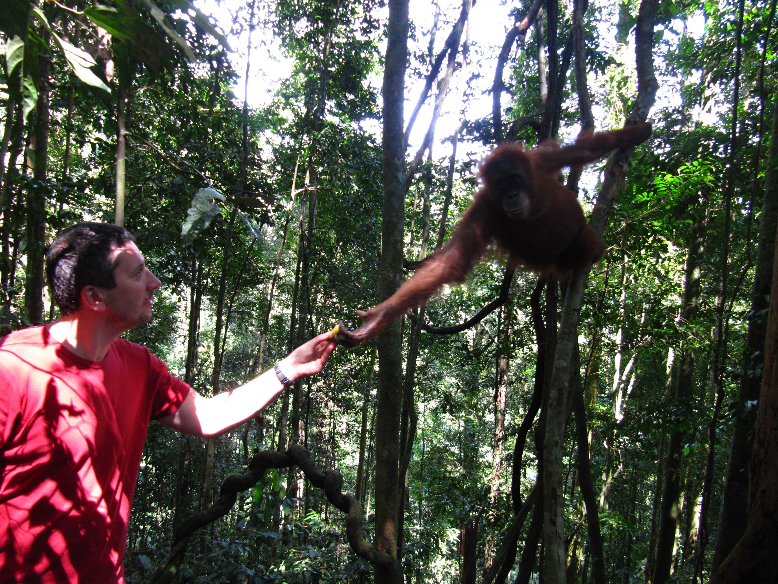 Indonézia Balin innen és túl!