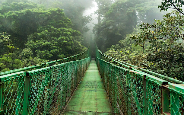 iamjorge / Shutterstock