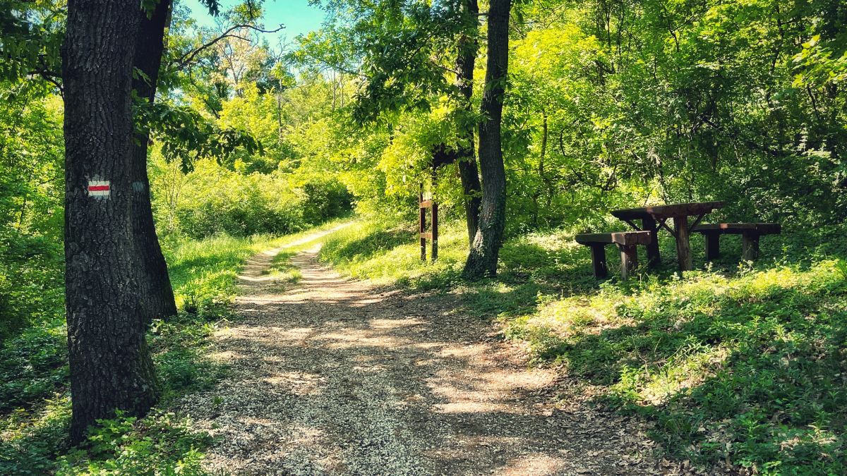 5 vadregényes tanösvény a Balaton környékén egy könnyed tavaszi kiránduláshoz