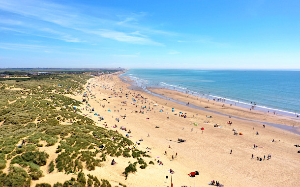 john_1 / Shutterstock