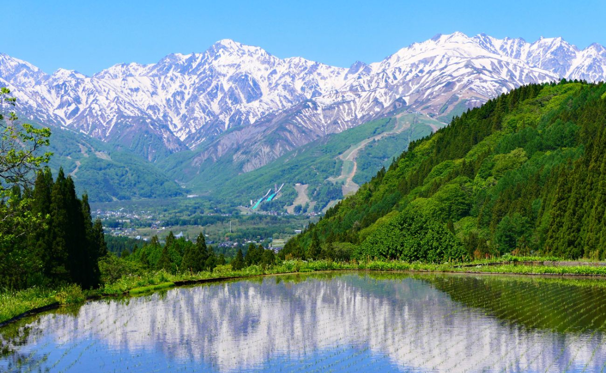 Egy hónapra a Japán-Alpokba költözhetsz, cserébe csak futni kell