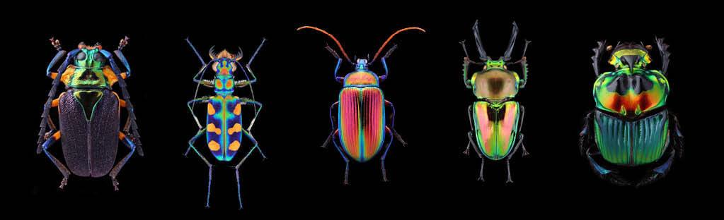 Állat- és növénybarátok, figyelem! Szuper programra invitálunk