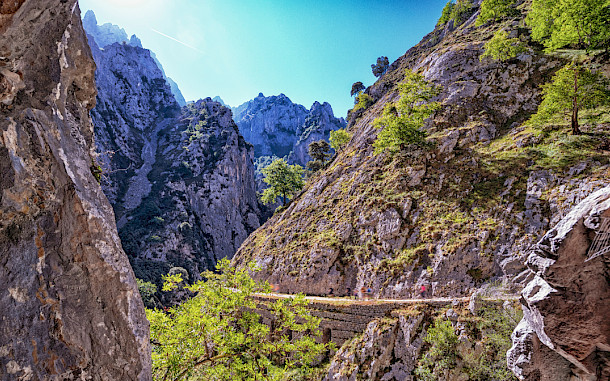 Al Carrera, Shutterstock