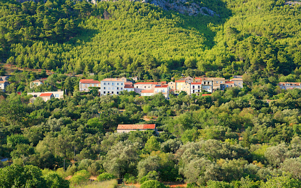 Simun Ascic, Shutterstock