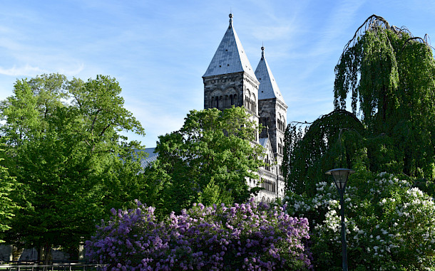 JWake, Shutterstock